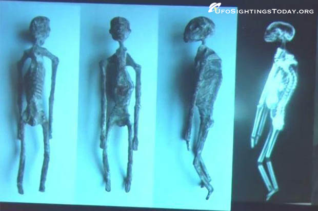 mummies of nazca x-ray