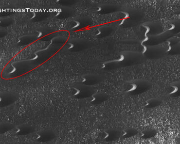 alien snake found on Mars